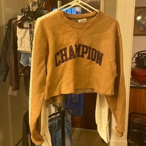 Brown champion crop sweater